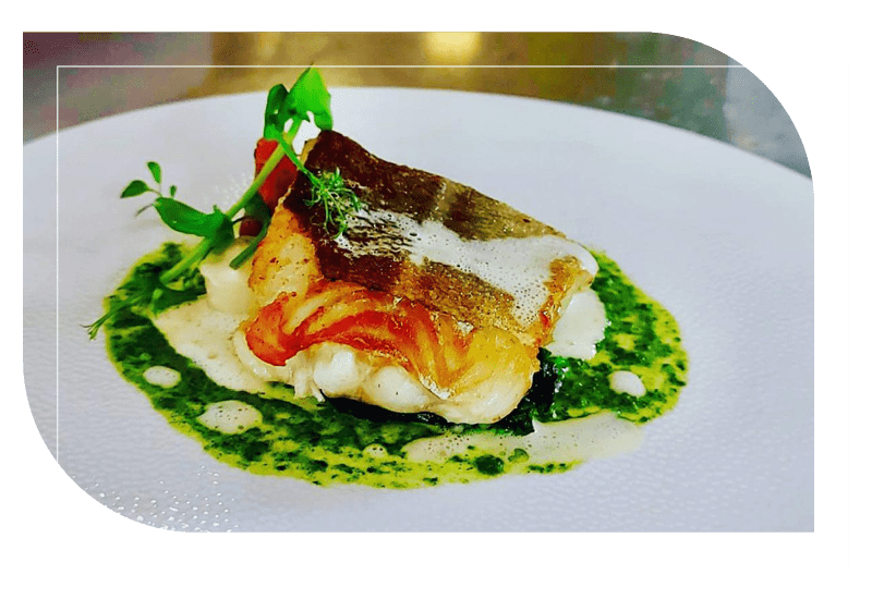 zalm-home-800px